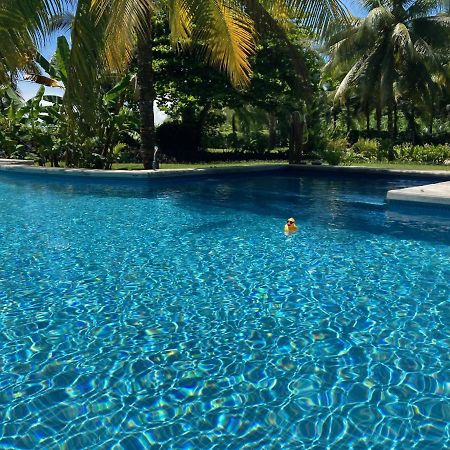 بوكاس تاون Sand Dollar Beach Bed & Breakfast المظهر الخارجي الصورة