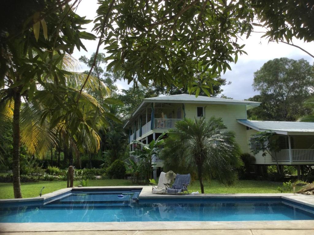 بوكاس تاون Sand Dollar Beach Bed & Breakfast المظهر الخارجي الصورة