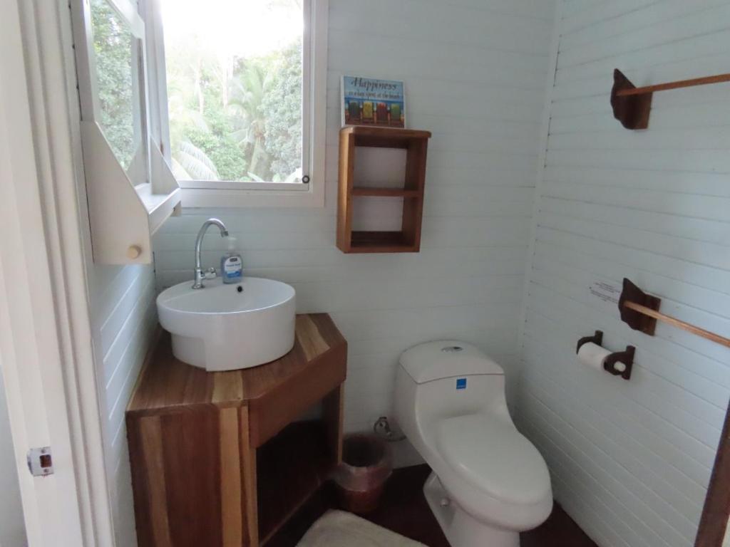 بوكاس تاون Sand Dollar Beach Bed & Breakfast المظهر الخارجي الصورة