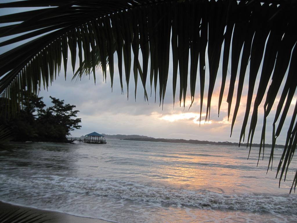 بوكاس تاون Sand Dollar Beach Bed & Breakfast المظهر الخارجي الصورة