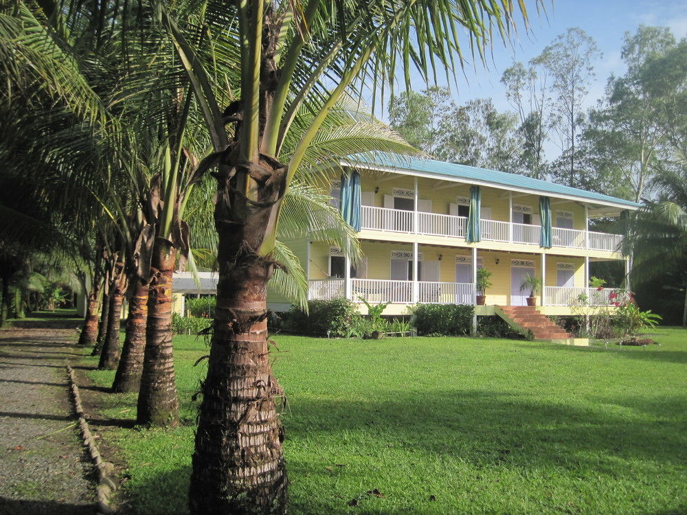 بوكاس تاون Sand Dollar Beach Bed & Breakfast المظهر الخارجي الصورة