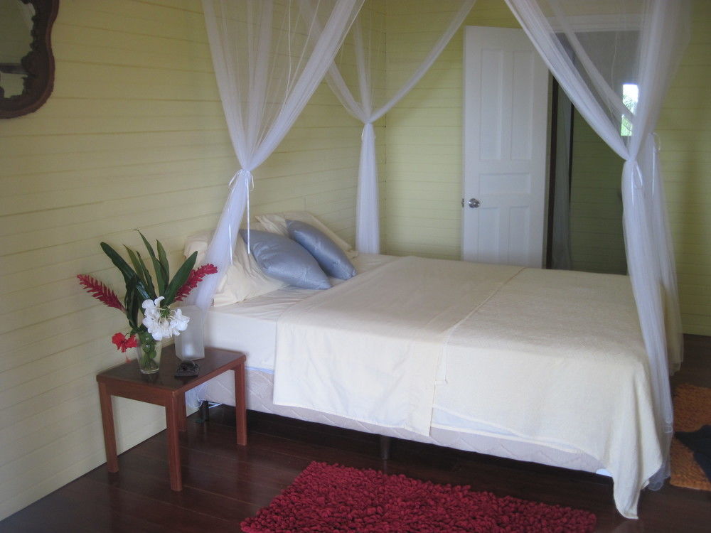 بوكاس تاون Sand Dollar Beach Bed & Breakfast المظهر الخارجي الصورة