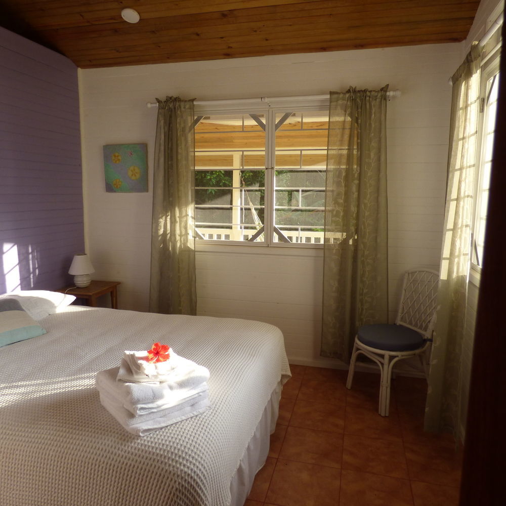 بوكاس تاون Sand Dollar Beach Bed & Breakfast المظهر الخارجي الصورة