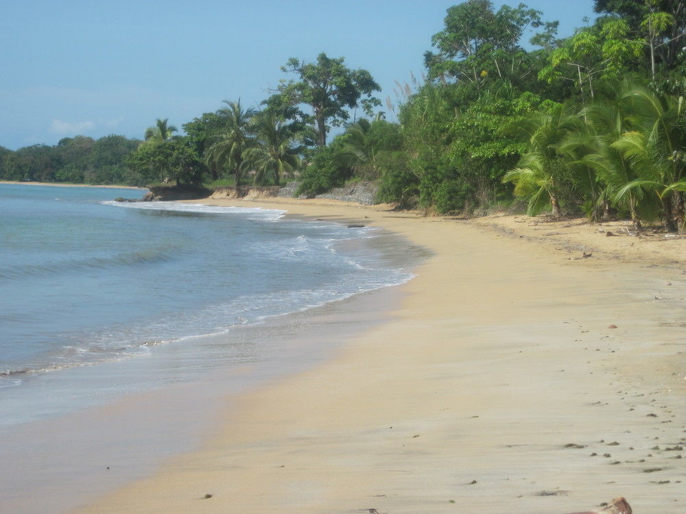 بوكاس تاون Sand Dollar Beach Bed & Breakfast المظهر الخارجي الصورة