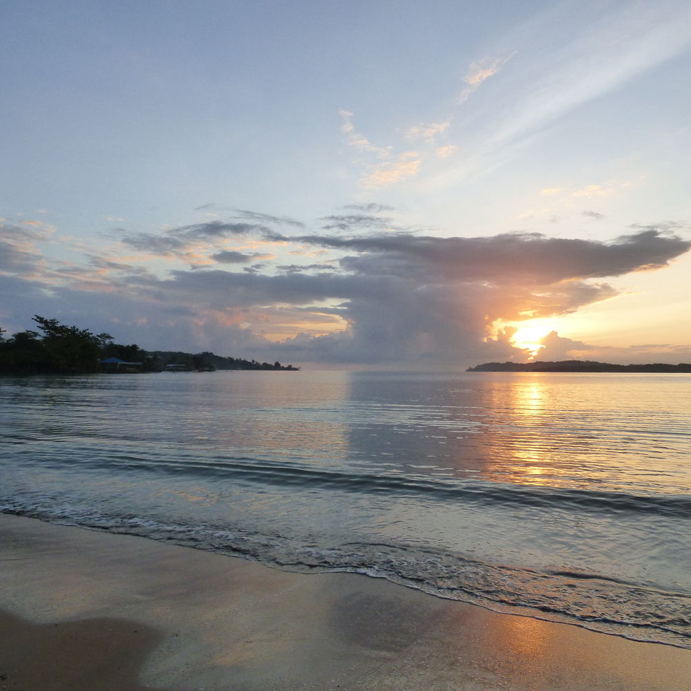 بوكاس تاون Sand Dollar Beach Bed & Breakfast المظهر الخارجي الصورة